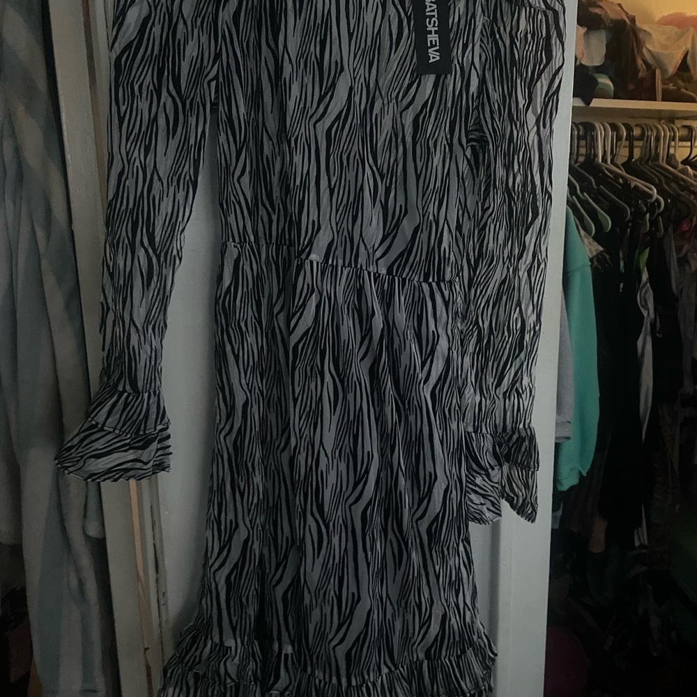 Batsheva Zebra Print Long Sleeve Dress